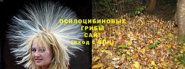 ПСИЛОЦИБИНОВЫЕ ГРИБЫ Алексин