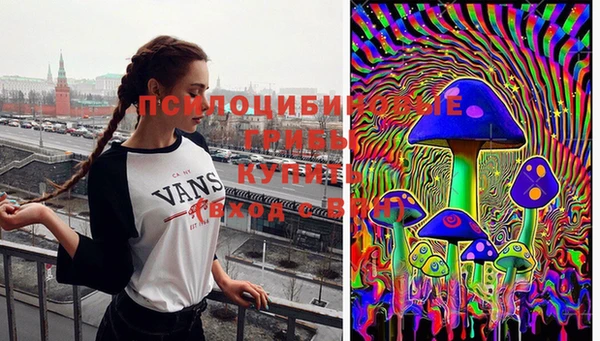ПСИЛОЦИБИНОВЫЕ ГРИБЫ Алексин