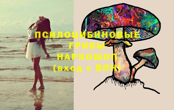 героин Алзамай