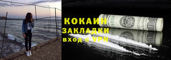 шишки Аркадак
