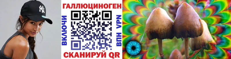 гидра рабочий сайт  Иланский  Псилоцибиновые грибы Magic Shrooms 